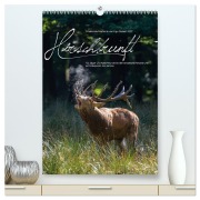 Cover-Bild zum Titel 'Emotionale Momente: Hirschbrunft (hochwertiger Premium Wandkalender 2026 DIN A2 hoch), Kunstdruck in Hochglanz' von 'Ingo Gerlach GDT'