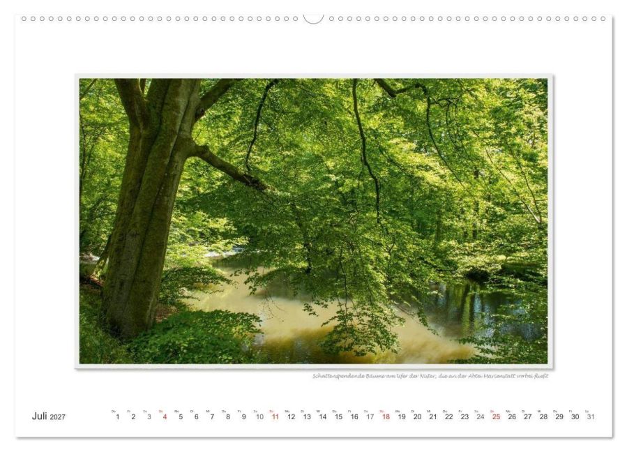 InsideView 12