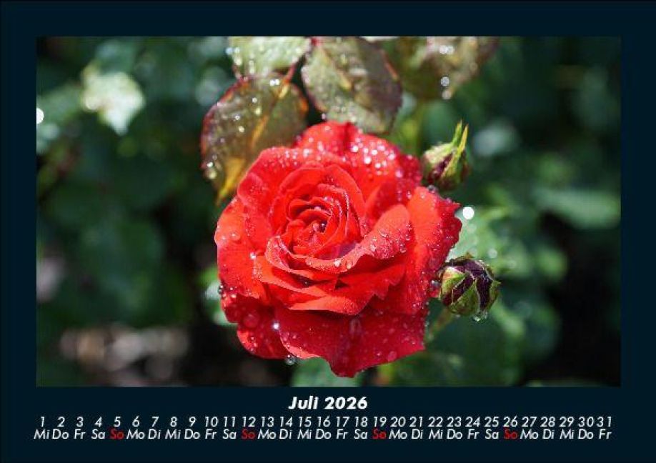 InsideView 11