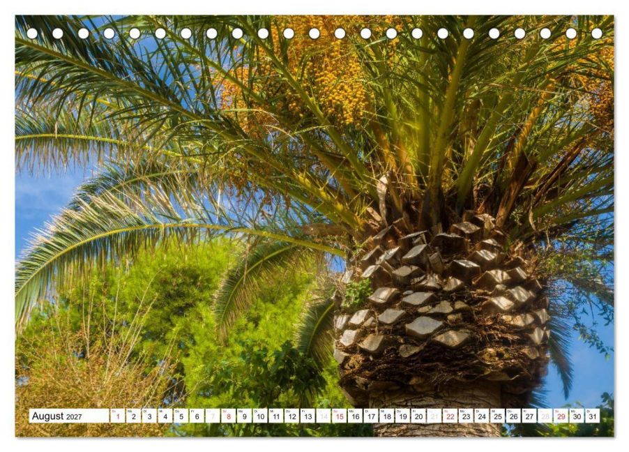 InsideView 13