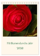 Cover-Bild zum Titel 'Mit Blumen durchs Jahr (Tischkalender 2026 DIN A5 hoch), CALVENDO Monatskalender' von 'Traude Scholz'
