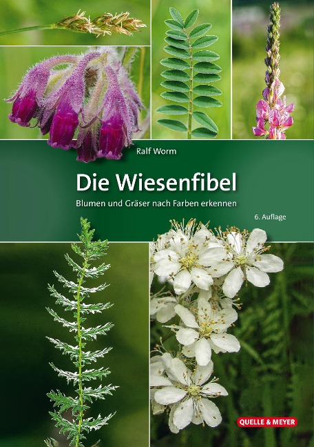 Die Wiesenfibel