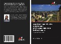 Cover-Bild zum Titel 'Applicazione di vita quotidiana dell'economia neo-istituzionale' von 'Rita Yi Man Li'
