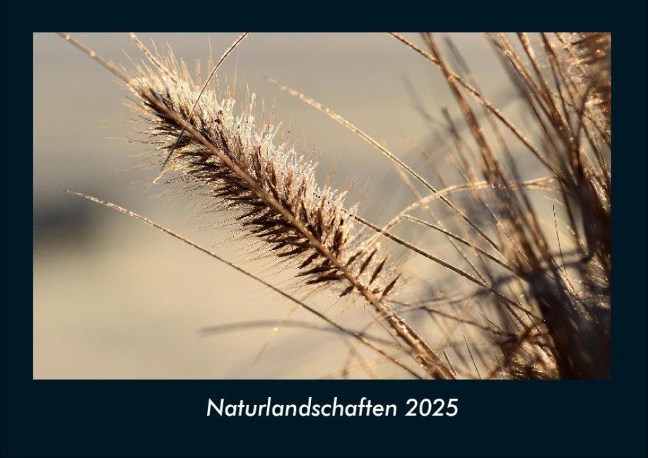 Naturlandschaften 2025 Fotokalender DIN A4 - Tobias Becker