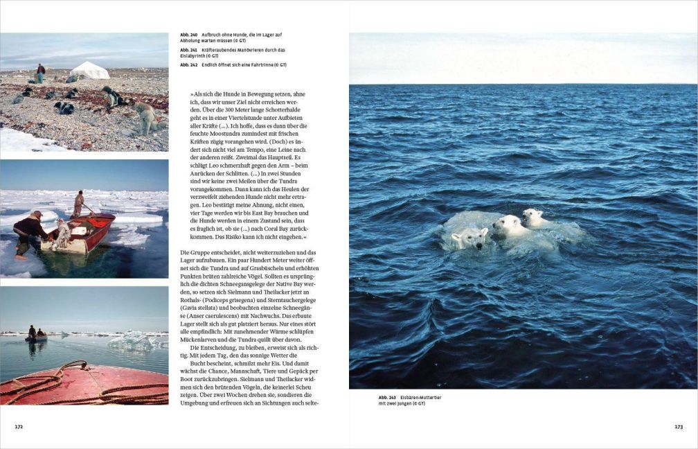 InsideView 6