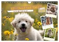 KI - Hund und Katz `des Menschen bester Freund (Wandkalender 2025 DIN A4 quer), CALVENDO Monatskalender - Claudia Schimmack