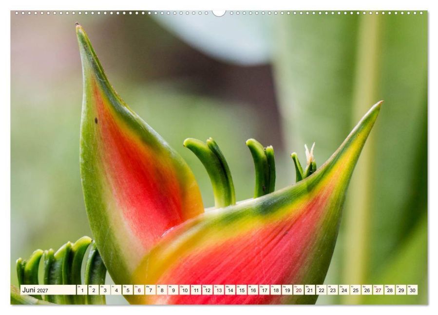 InsideView 10