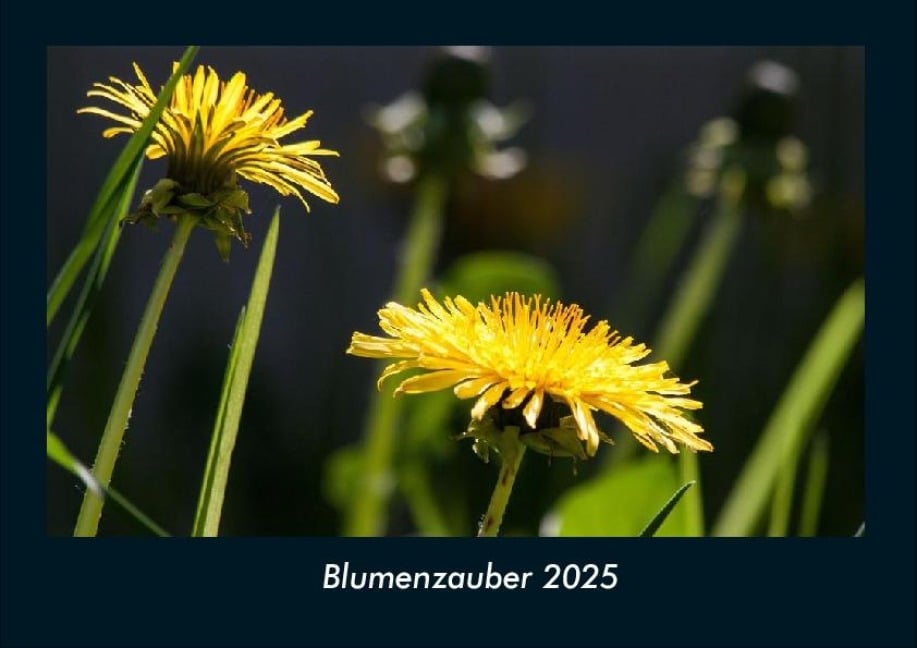 Blumenzauber 2025 Fotokalender DIN A4 - Tobias Becker