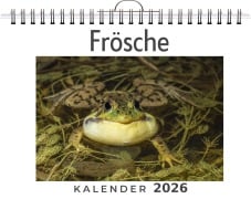 Cover-Bild zum Titel 'Frösche' von 'Henry Koch'