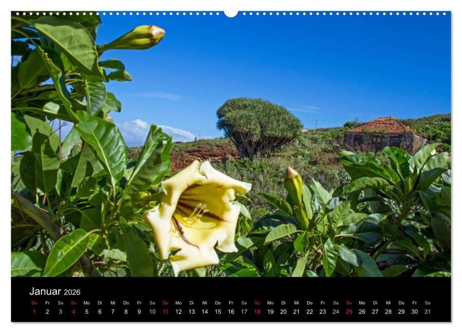 InsideView 5
