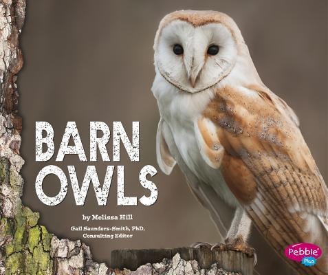 Barn Owls - Melissa Hill