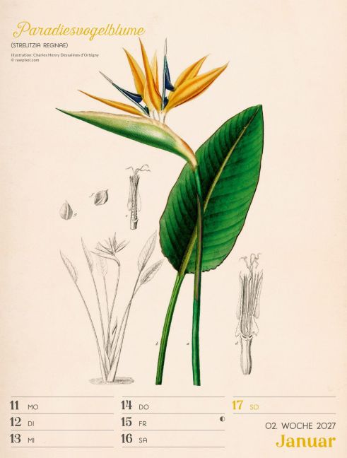 InsideView 5