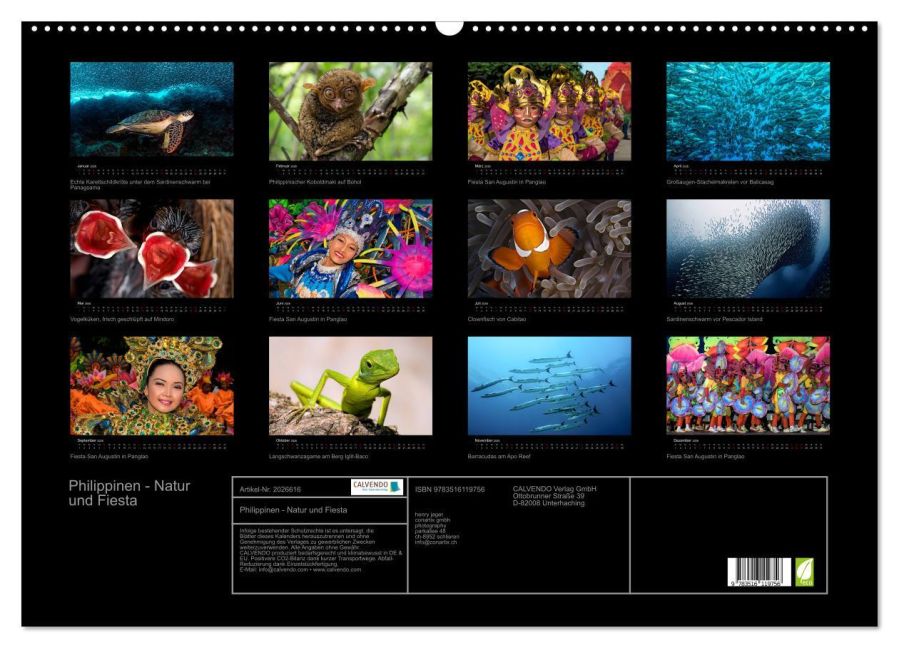 InsideView 5
