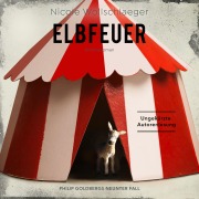 Cover-Bild zum Titel 'ELBFEUER' von 'Nicole Wollschlaeger'