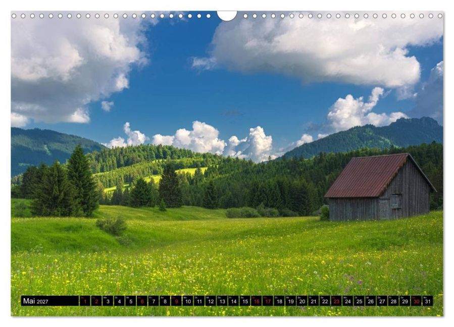 InsideView 10
