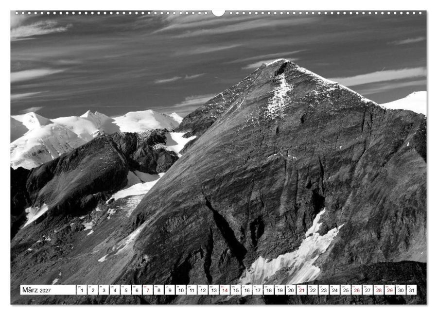 InsideView 8