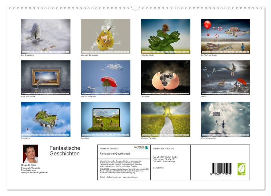 InsideView 4