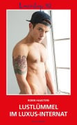 Cover-Bild zum Titel 'Loverboys 162: Lustlümmel im Luxus-Internat' von 'Robin Haasters'