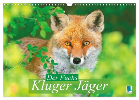 Der Fuchs: Kluger Jäger (Wandkalender 2025 DIN A3 quer), CALVENDO Monatskalender - Calvendo Calvendo