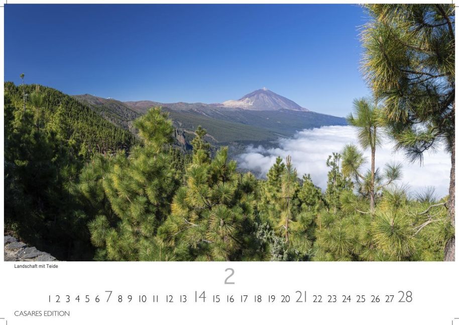 InsideView 2