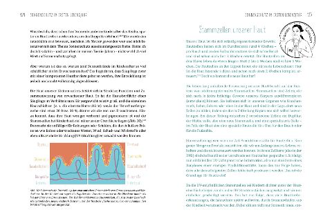 InsideView 4