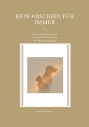 Cover-Bild zum Titel 'Kein Abschied für immer' von 'Julia Holzmann'
