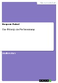 Cover-Bild zum Titel 'Das Prinzip der Verbrennung' von 'Benjamin Pichert'