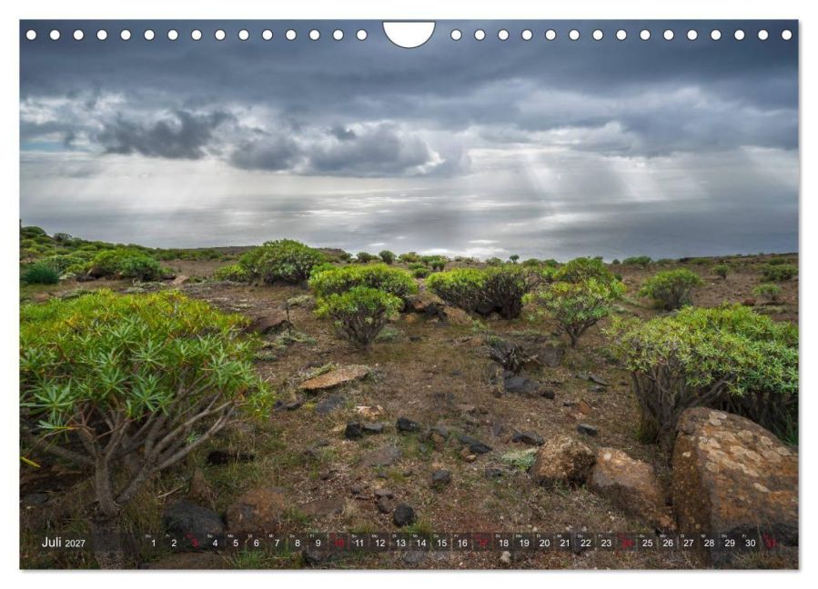 InsideView 12