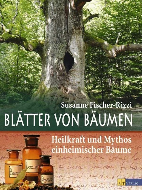 Blätter von Bäumen - Susanne Fischer-Rizzi