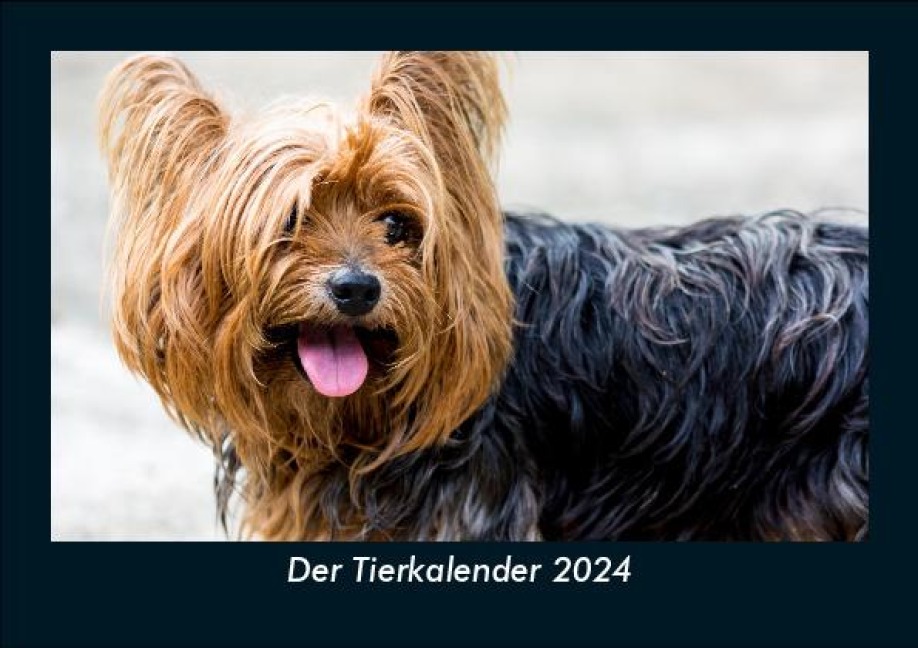 Der Tierkalender 2024 Fotokalender DIN A5 - Tobias Becker