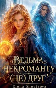 Cover-Bild zum Titel 'Ведьма некроманту (не) друг' von 'Olena Shevtsova'