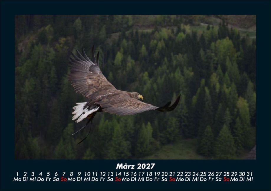 InsideView 7