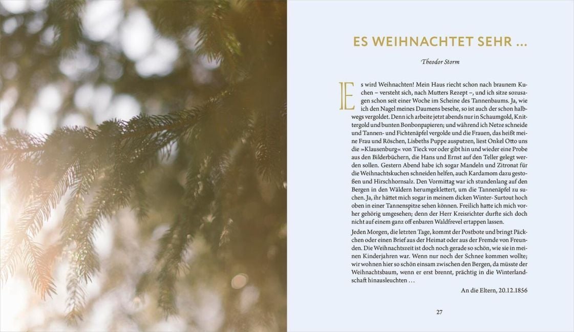 InsideView 5