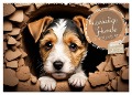 Kuschelige Hunde - kleine Herzensbrecher in Aktion (Wandkalender 2025 DIN A2 quer), CALVENDO Monatskalender - Babette Whitter