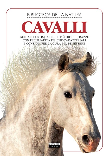 I cavalli - 