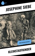 Cover-Bild zum Titel 'Kleinstadtkinder' von 'Josephine Siebe'