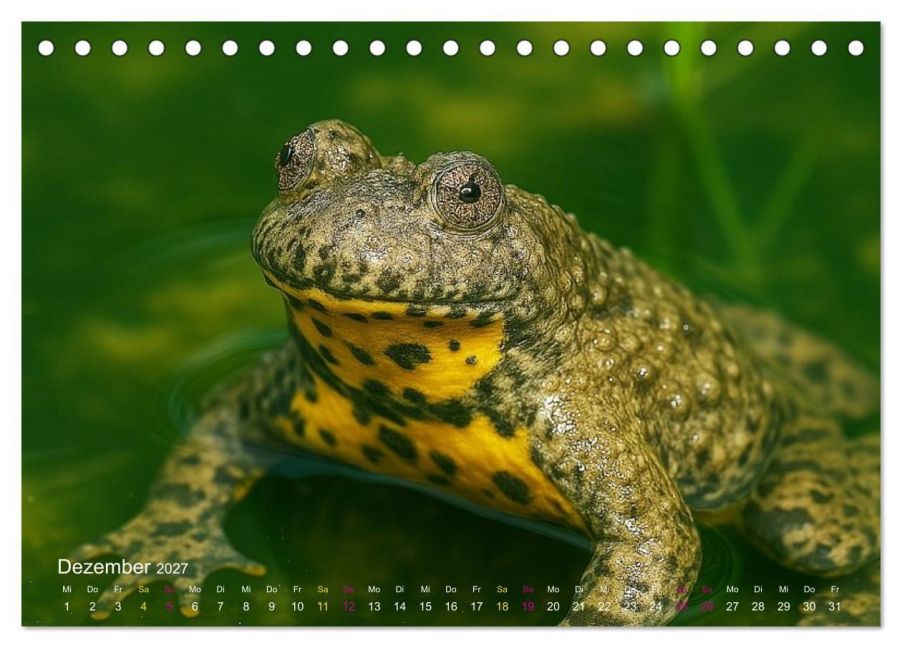 InsideView 4