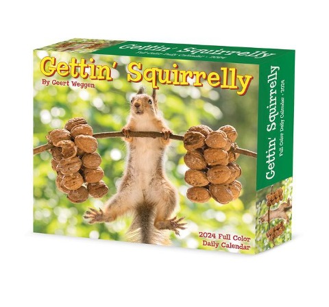 Gettin' Squirrelly 2024 6.2 X 5.4 Box Calendar - 