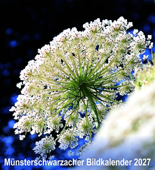 Münsterschwarzacher Bildkalender 2027 -
