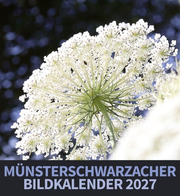 Münsterschwarzacher Bildkalender 2027 - 