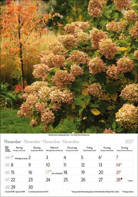 InsideView 11