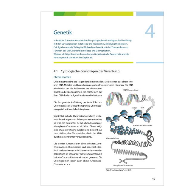 InsideView 7