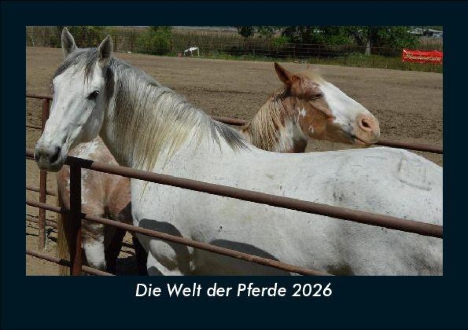 Die Welt der Pferde 2026 Fotokalender DIN A5 - Tobias Becker