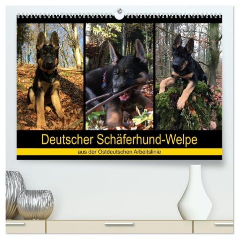 Deutscher Schäferhund-Welpe - aus der Ostdeutschen Arbeitslinie (hochwertiger Premium Wandkalender 2025 DIN A2 quer), Kunstdruck in Hochglanz - Tanja Riedel