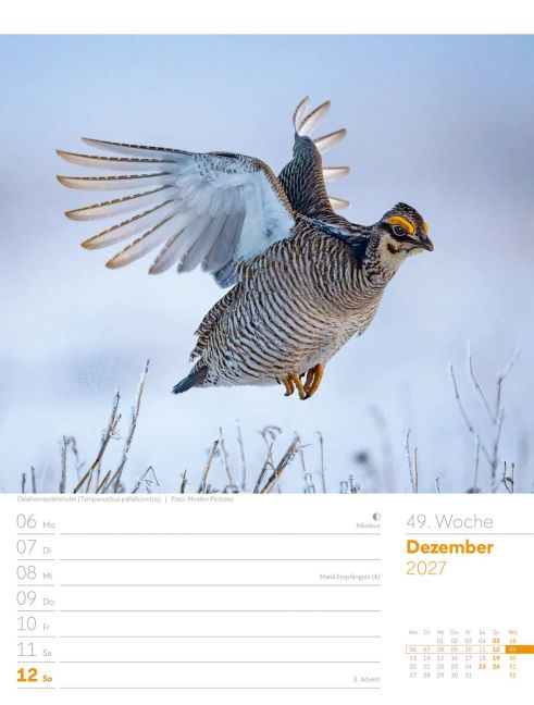 InsideView 53