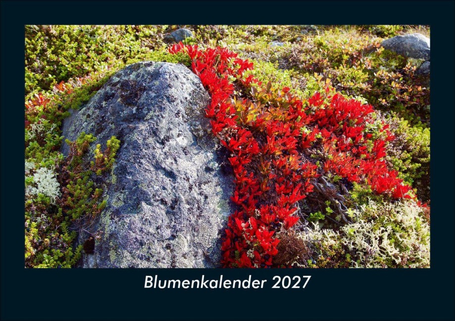 Blumenkalender 2027 Fotokalender DIN A5 - Tobias Schmitt, Kevin Heber
