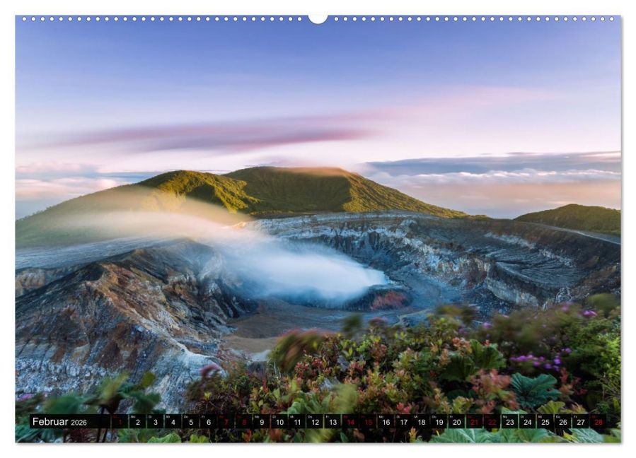 InsideView 6