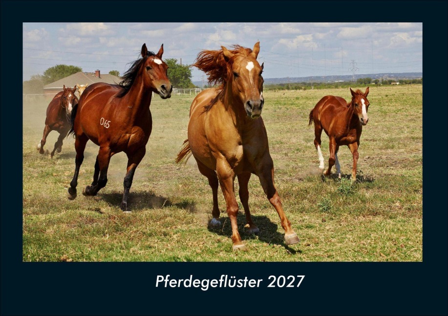 Pferdegeflüster 2027 Fotokalender DIN A4 - Kevin Heber, Tobias Schmitt