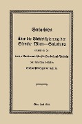Cover-Bild zum Titel 'Gutachten über die Elektrifizierung der Strecke Wien -Salzburg' von 'Robert Findeis'