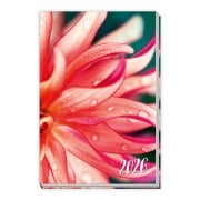Trötsch Taschenkalender A6 Flowers 2026 - 